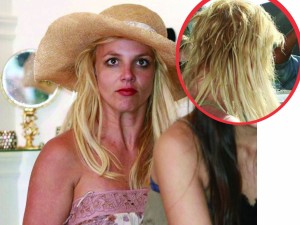 Похоже, Бритни забыла, когда вновь перекрашивала волосы, что статус блонды обязывает...