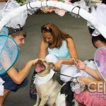 Собачья свадьба Алины Гросу
